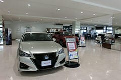 撮影協力:沖縄トヨタ自動車株式会社（本社勢理客店）